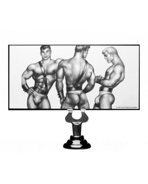 Plug Anale Large-Tom of Finland