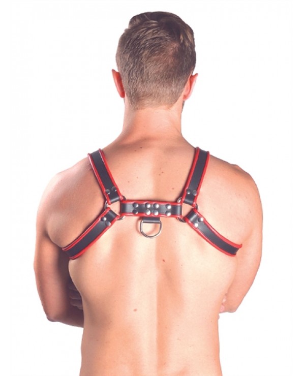 Chest Harness Black with Red