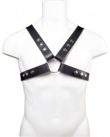 Top Harness with Snap Studs