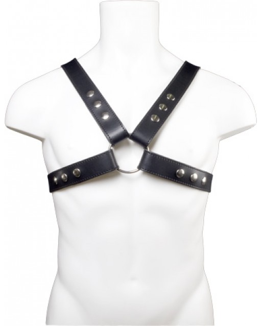 Top Harness with Snap Studs